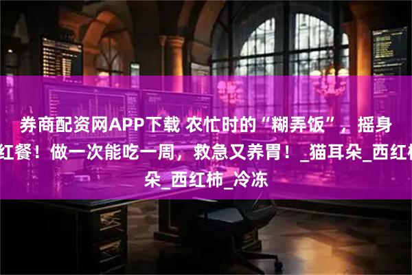 券商配资网APP下载 农忙时的“糊弄饭”，摇身一变网红餐！做一次能吃一周，救急又养胃！_猫耳朵_西红柿_冷冻