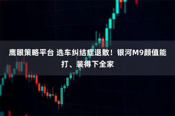 鹰眼策略平台 选车纠结症退散！银河M9颜值能打、装得下全家